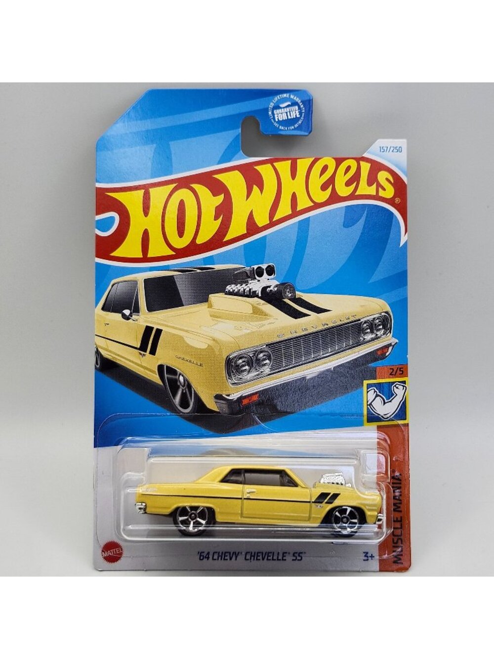 Hot Wheels 64 Chevy Chevelle SS Cream 2024 Muscle Mania 2/5 157/250
